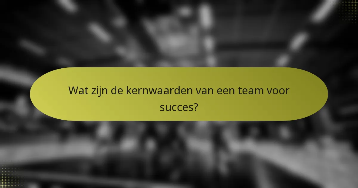 Wat zijn de kernwaarden van een team voor succes?